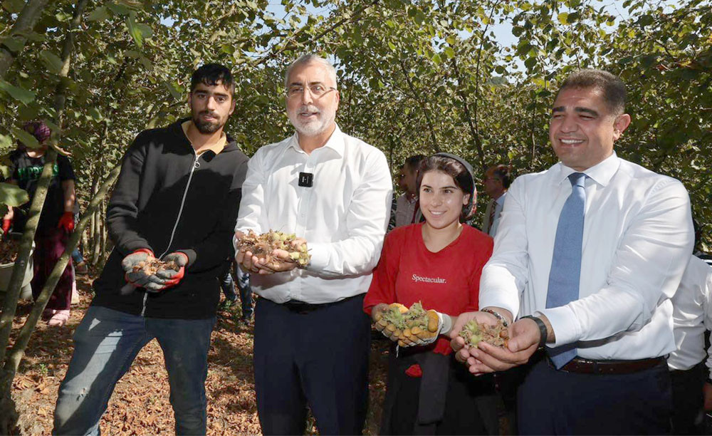 BAKAN IŞIKHAN FINDIK TOPLADI