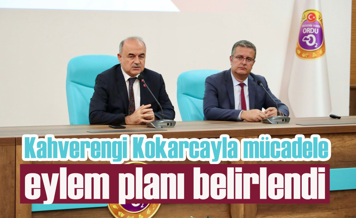 Eylem planı kapsamında alınan kararlar belirlendi